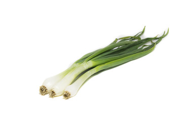  fresh spring onion isolated on white background