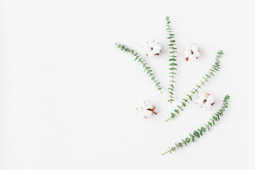 Flowers composition. Fresh eucalyptus branches and cotton flowers. Flat lay, top view