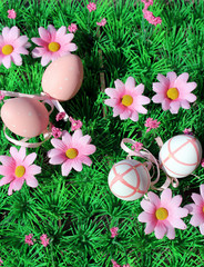 Ostereier auf Blumenwiese