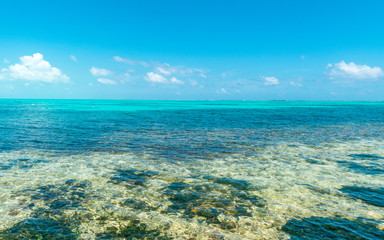 Obraz premium Caribbean tropical beach