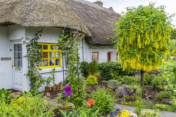 Cottage in Adare
