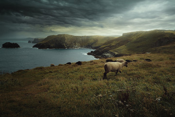 Dramatic clouds over Cornwall coast © captblack76