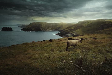 Fotobehang Kust Dramatic clouds over Cornwall coast  © captblack76
