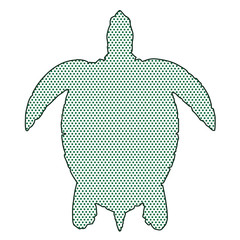 Textured sea turtle on isolated on white