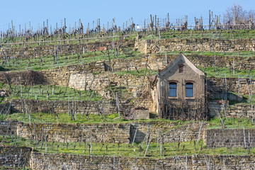 European River Max Eyth See Stuttgart Vineyards Sunny Landscape Beautiful Idyllic Blue Skies Clear Weather Green Slopes Mountains Water