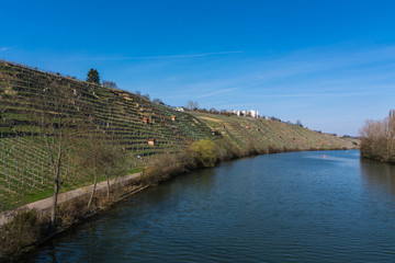 Fototapeta premium European River Max Eyth See Stuttgart Vineyards Sunny Landscape Beautiful Idyllic Blue Skies Clear Weather Green Slopes Mountains Water