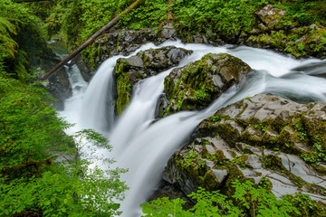 Obraz premium Sol Duc Falls - A top view of Sol Duc Falls. Olympic National Park, Washington, USA.