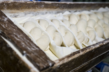 preparare la massa per il pane in un panifiio