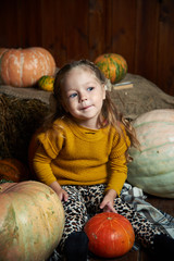 Fototapeta premium Portrait of adorable smiling girl posing with orange pumpkin in fall wooden interior. fine