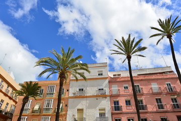 Altstadt von Cadiz in Andalusien - Spanien