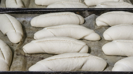 impasto base per pane in panificio