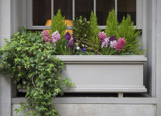 Fototapeta na wymiar Flowers in a Window Planter in New York City