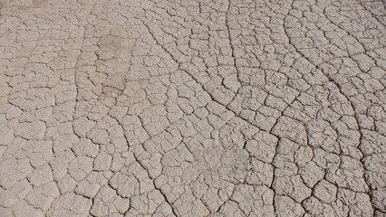 Dry cracked mud and signs of drought
