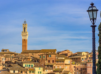Aerial view of the city of Siena