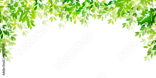 新緑 葉 緑 背景 Poster Posters Wallsheaven J Boy