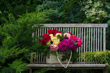 Basket with multi-colored roses on a bench in the summer garden.