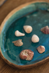 Seashells placed in ceramic tray