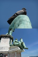 ミケランジェロ広場の像の膝の上で休む鳩(イタリア)
