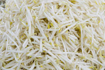 close-up to Bean sprouts background