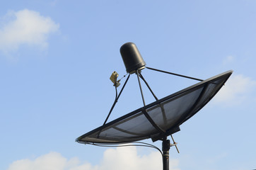 satellite dishes antenna