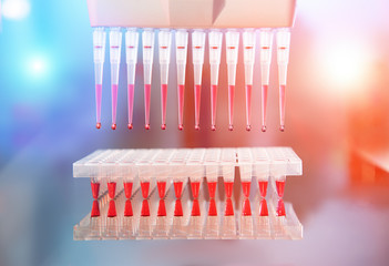 Scientific background. DNA amplification screening