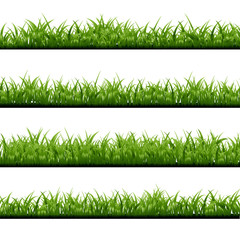 Vector realistic isolated green grass borders on the white background for decoration.