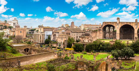 Fototapeta premium Ancient ruins of Forum in Rome