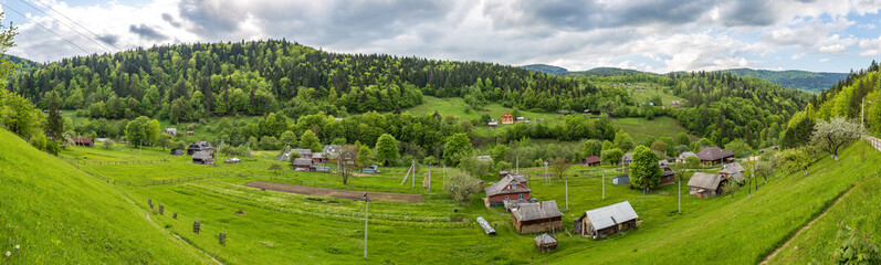 Fototapeta na wymiar Carpathians mountain forest
