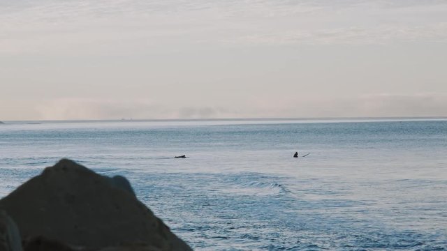 Coastal Cruising 