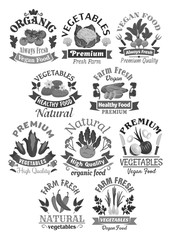 Fototapeta premium Farm veggies or vegetables vector icons
