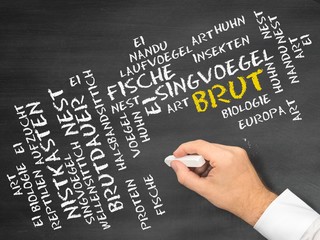 Brut