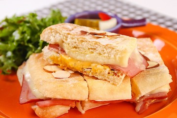 panini sandwitch