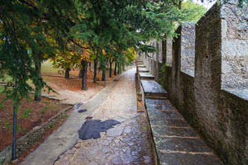 Aerial view of Florence cityscape