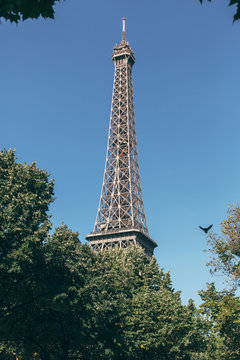 Paris In The Summer