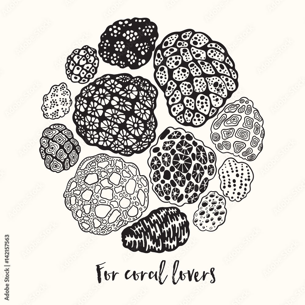 Poster Round vector print with corals