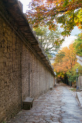 Fototapeta premium Alley walkway, path in autumn park
