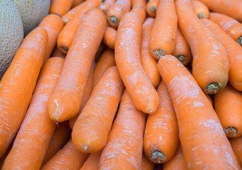 Big carrots for sale at local city market