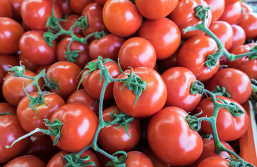 New tomatoes for sale at city local market