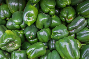 Green bell pepperss for sale at the city farmers market