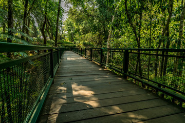 Wooden footbridge in the park