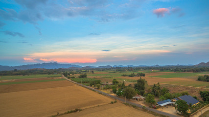 beautiful sunset above corn fields