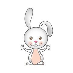 colorful caricature cute rabbit animal vector illustration