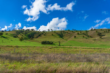 Fototapeta premium Rural landscape of green pastures, farmland and bright blue sky