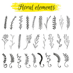 Collection of hand drawn vector florals and branches with leaves, flowers, berries. Modern sketch collection. Decorative elements for design