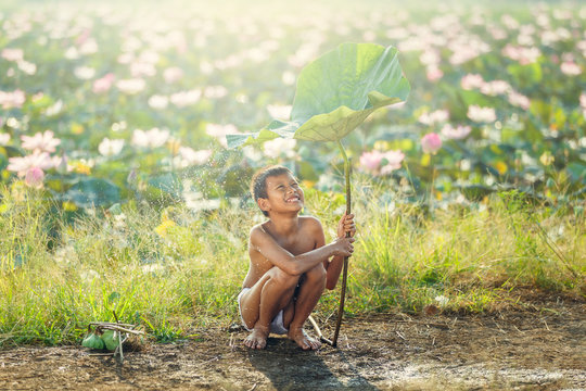 Little boys sitting and playing water under lotus leaf, Asian kid smiling and happiness playing water under lotus leaf after raining day at countryside in Thailand.
