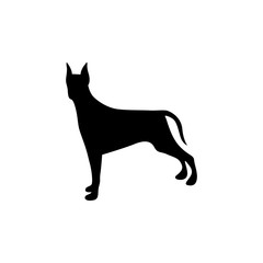 black figure doberman pinscher dog animal vector illustration