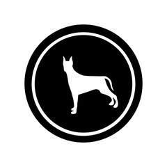 circular frame with figure doberman pinscher dog animal vector illustration