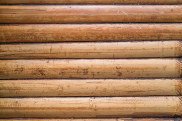 bamboo background