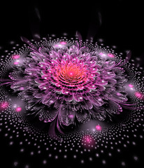 Obrazy na Szkle  Streszczenie egzotyczny kwiat ze świecącymi iskierkami na czarnym tle. Fraktal fantasy w różowych kolorach. Psychodeliczna sztuka cyfrowa. Renderowanie 3D.
