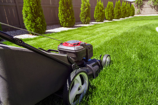 Lawn mower in the garden on green grass